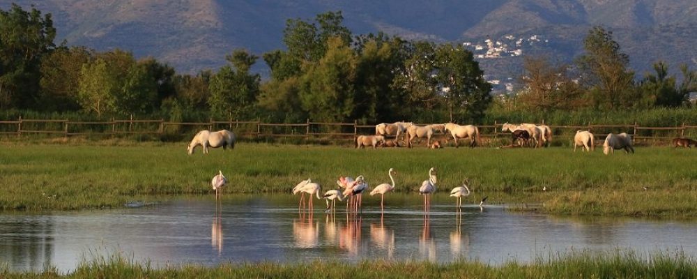 Consejos para viajar en familia a Empuriabrava